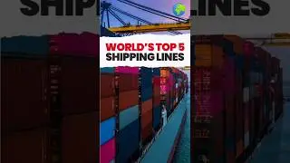 WORLD'S TOP 5 SHIPPING LINES #china #facts #shipsupplier#indianshipping #shippinglines#shipservices
