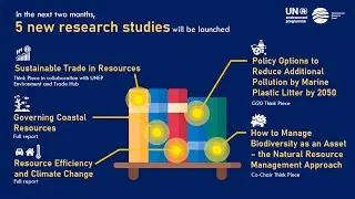 The International Resource Panel key achievements in 2020?