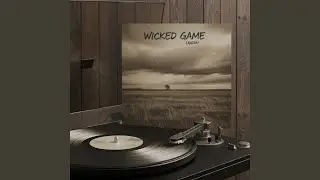 Wicked Game (Cover)