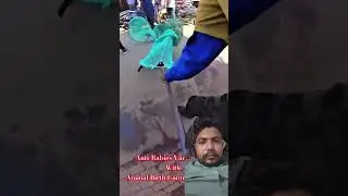 Gojo Is Come Back Dog Catch #dog #dogwithpublicsafety #ytviral #pets #dogshorts #shorts #gojo
