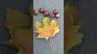 Guten Morgen, bereit f&uuml;r herbstliche Bastelideen mit Kastanien und Bl&auml;ttern? #herbstdeko #diy #video