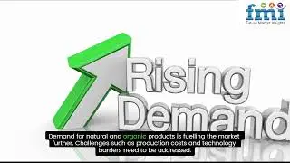 Algae Oil Market In-depth Insights, Revenue Details, Regional Analysis by 2035