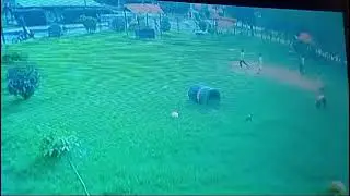 se desaparece bal&oacute;n negro
