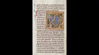Medieval Bestiaries - The Basilisk