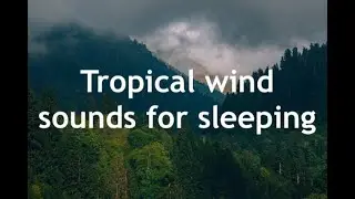 8 Hours of Serene Wind Sounds for Relaxation and Sleep