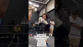 Treino de boxe #whinderssonnunes #boxe #shorts