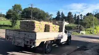 Mexico lindo y querido!!❤️🇲🇽🌳☀️