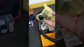 Correia dentada tem validade
