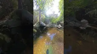 Switzer Falls Trail #hiking #nature #طبیعت