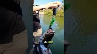 Catching a BIG Bass with 1Rod! #shorts #fishing #kickintheirbasstv
