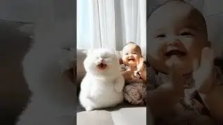 Baby fart and cat laughing🤣 #cat #funny #catshorts #cutecat #baby #funnycatvideo @CatimationAI