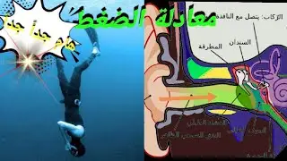 الطريقة الصحيحة لمعادلة الضغط#معادلة_الضغط #غطس_حر #Freediving #طرق_معادلة_الضغط #Octopus_Sea#