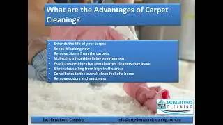Carpet Cleaning Bulimba