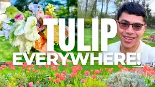 April Garden Tour | New Jersey, zone 7a