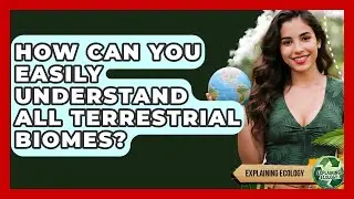 How Can You Easily Understand All Terrestrial Biomes? - Explaining Ecology