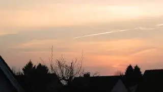 rawopint test6