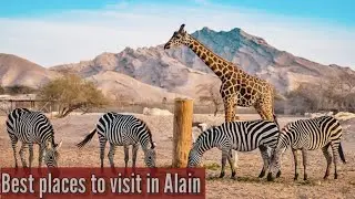 Best Places to Visit in Al Ain UAE 🇦🇪