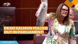 Australian senator pulls out dead salmon in parliament | Geo News English | Australia | Parliament