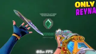 Why Reyna is an S Tier Agent