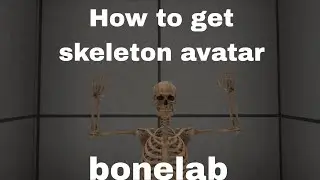 How to get skeleton avatar on bonelab
