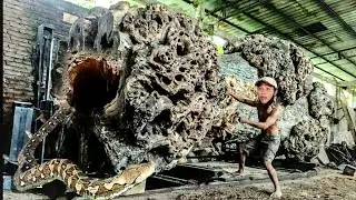 MOMEN MENGERIKAN! Gergaji Memecahkan Balok Kayu Raksasa dengan Kekuatan di Pabrik Penggergajian Kayu