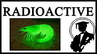Walmart Radioactive Shrimp Is Delicious