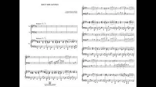 [MUSICALIBRA] Isn't She Lovely - Violin, Cello and Piano Trio