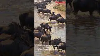 Top 10 Tourist Destinations to Visit Before You Die | Ultimate Travel Bucket List (3)