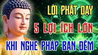 15 Phút Trước Khi Ngủ Nghe Phật Dạy 🌙 Nghe Pháp Tâm An, Lạc Quan Và Bình Yên | Phật Pháp Tỉnh Giác