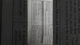 difference between fibrous root system and adventious root system best handwritten study notes