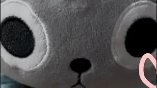 How take care of your pebble :3 Dandy&rsquo;s world