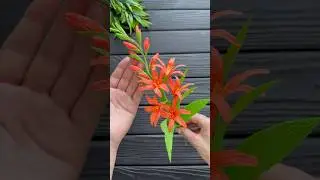 Amazing Flower Crepe Paper Flower DIY Decoration Craft