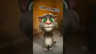 Haye Re Meri Moto tom music