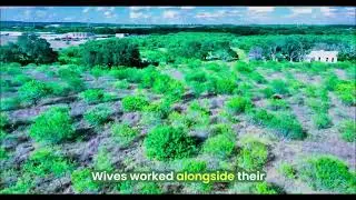German Farmers' Crop Diversity Amazes Texans #shorts