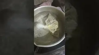 ngerbus umpan ikan mass