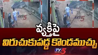 Monkey Attacks Man At Zaheerabad | Sangareddy District || TV5 News