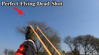 Slingshot Flying Birds Hunting !