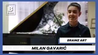 Brainz Art - Milan Gavarić