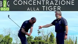 CONCENTRATI COME TIGER 