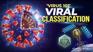 VIRUS : THE INVISIBLE INVADERS