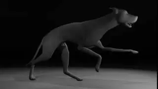 Dog Run Cycle Updated