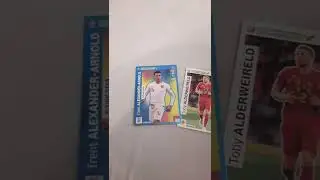 Meine Kollektion von EM 2020 karten