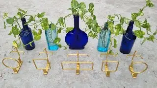 Unique bracket for fixing wine bottel on wall with money plant