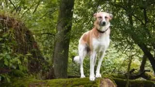 2016 07 29 Wanderung Froschweg in der Oberen Treenelandschaft