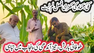 Heavy Rain (Tofani Barish) Aur Aandhi Ki Lehnda Punjab Main Tabahi | @Punjabibest4ever 