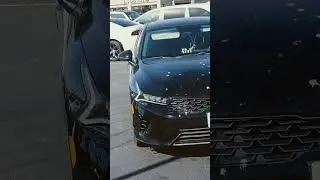 FREE AUTO PAINTING?