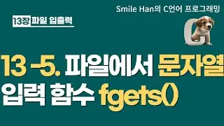 C언어 13-5 : 문자열 파일 입력 함수 fgets