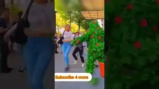 #bushmanprank #funny compilation of the bushman!!!!