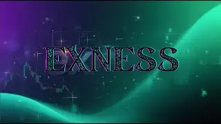 Exness Trading Platform For Beginners | Forexbeginner.live