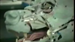 Perrier Commercial, Animatronic Lion